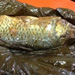 「鲤鱼」荷香脆鳞鱼的做法（附秘制汤料配方及制作）
